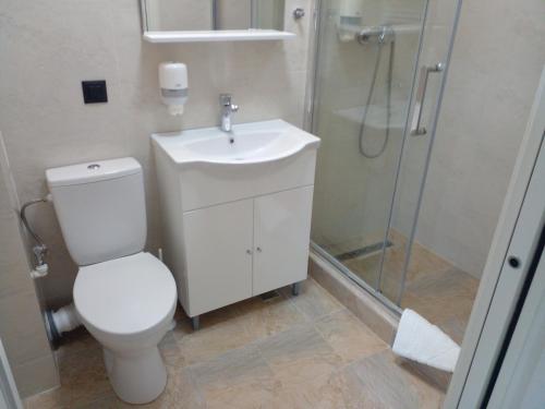 a bathroom with a toilet and a sink and a shower at Pensiunea Duet in Sărata-Monteoru