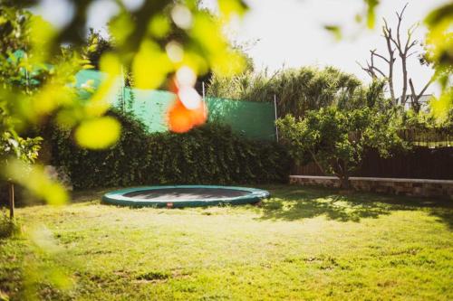 a green frisbee in the grass in a yard at Villa Giovanni in Barbate