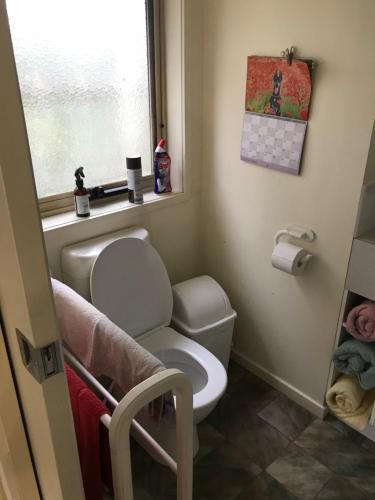 a small bathroom with a toilet and a window at Lanaud Farm Stay in Allansford