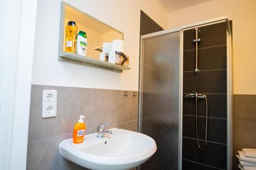 a bathroom with a sink and a shower at Neubau für 4 Personen Eigene küche und Bad Netflix Spätere Check in in Nuremberg