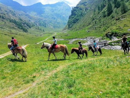 a group of people riding horses in a field at Ferienwohnung Lazins in Pfelders
