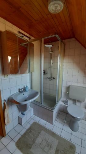 een badkamer met een wastafel, een douche en een toilet bij Ferienwohnung Langfeld in Kronsgaard