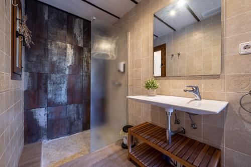 a bathroom with a sink and a shower at El Clos 4 in Conesa