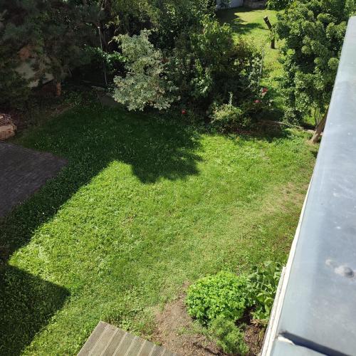 a yard with green grass and bushes at Large house with parking, 30 min to Prague center in Úvaly