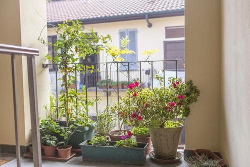 Homy Apartments Altaguardia
