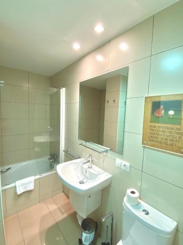 a bathroom with a sink and a toilet and a mirror at Canillo Novell C HUT - 6714 in Canillo