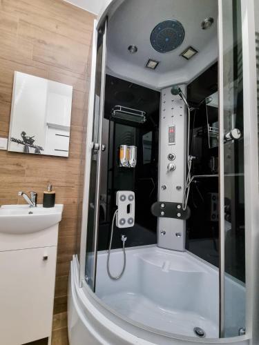 a bathroom with a shower and a sink at ZA FLORĄ in Jelenia Góra