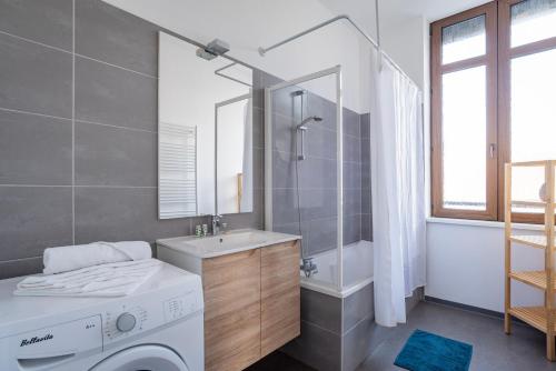 y baño con lavadora y ducha. en Le Manoir de Cyrielle - WIFI - 20 min centre ville de Strasbourg, en Bischheim