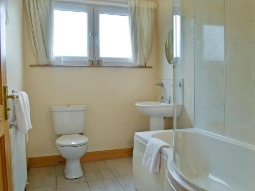 a bathroom with a toilet and a tub and a sink at Cressfield Villa in Ecclefechan