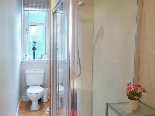 a bathroom with a toilet and a shower with a window at Bay Apartment in Rothesay