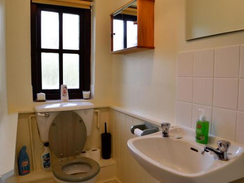 a bathroom with a toilet and a sink and a window at Buzzard Cottage in Devynock