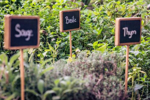 a group of signs in a garden at Hotel****Spa & Restaurant Cantemerle in Vence