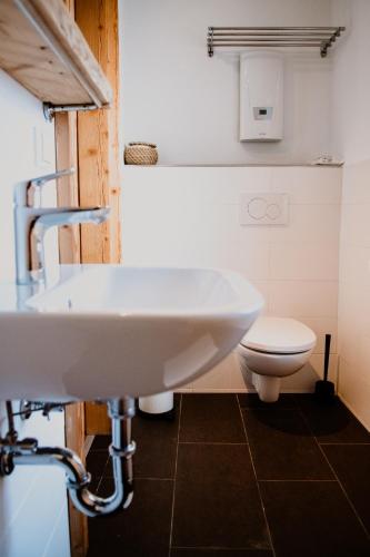 a bathroom with a sink and a toilet at Chalet am Sonnenhang in Obertraun