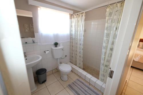 a bathroom with a toilet and a sink at Duwisib Guest Farm in Duwisib