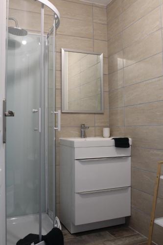 a bathroom with a shower and a sink and a mirror at Gîte Rose, Séjour détente et bien être en famille avec jacuzzi in Fontenay-le-Comte
