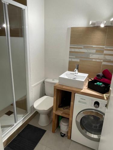 a bathroom with a toilet and a sink and a washing machine at Studio à Nice avec garage in Nice