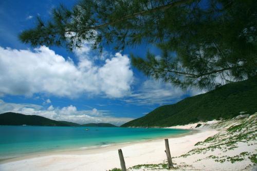 a view of a beach with a tree at Costa Dourada Pousada in Arraial do Cabo