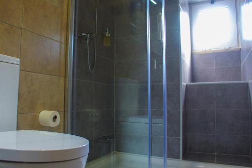 a bathroom with a shower with a toilet and a sink at Casa de Campo Vale do Ceira in Góis
