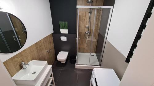 W łazience znajduje się prysznic, umywalka i toaleta. w obiekcie Szczytowa Kamienica Apartamenty Blisko Centrum w mieście Częstochowa
