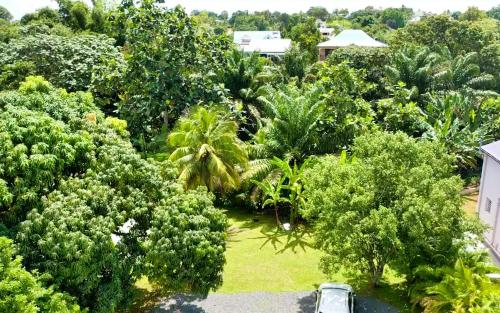 an aerial view of a garden of trees and bushes at GREEN LORD DOMAINE - Lodges Piscine & Spa - Bar & Lounge - Restaurant gastronomique in Lamentin