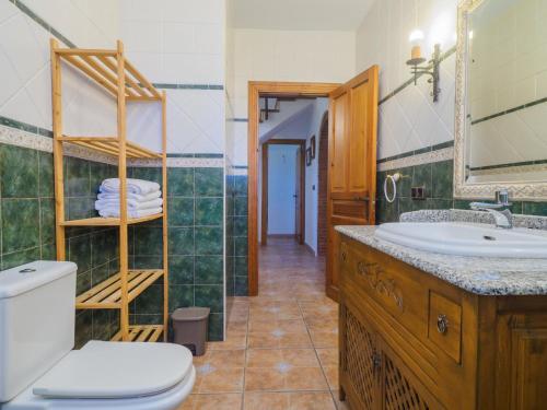 W łazience znajduje się toaleta, umywalka i lustro. w obiekcie Cubo's Villa Ainhoa w mieście Alhaurín el Grande
