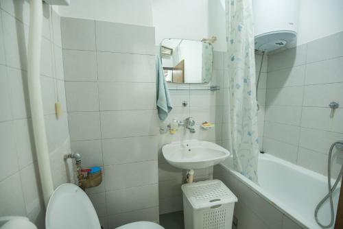 a small bathroom with a sink and a toilet at Apartman Vukcevic in Podgorica