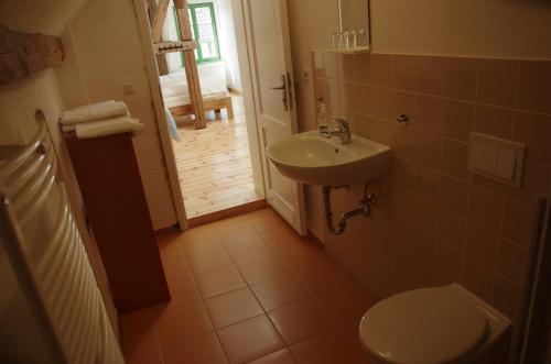 La salle de bains est pourvue de toilettes et d'un lavabo. dans l'établissement Stützpunkt Trebitz - Gästezimmer am Europaradweg R1, à Brück