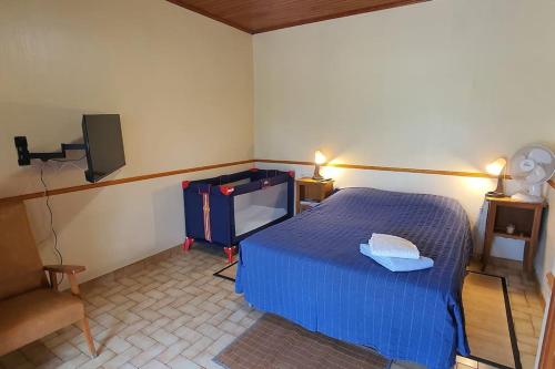 a bedroom with a blue bed and a tv at CAMAT T1 de plain pied à la campagne in Cazaubon