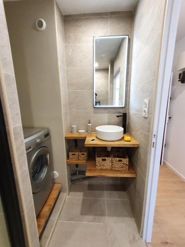 a bathroom with a sink and a washing machine at Quiet & Cosy near Loire River & Tramway in Nantes