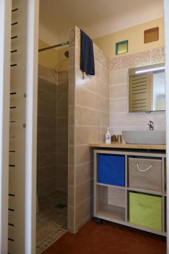 La salle de bains est pourvue d'un lavabo et d'une douche. dans l'établissement la métairie de Martine, à Riez