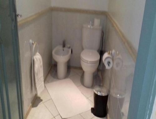 La petite salle de bains est pourvue de toilettes et d'un lavabo. dans l'établissement Belere Arfoud, à Erfoud