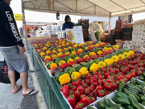 a person standing in a farmers market with fruits and vegetables at Hammer Haus II in Waterloo