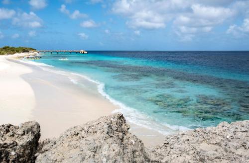 a beach with a group of people in the water at Casa Mantana Bonaire in Kralendijk