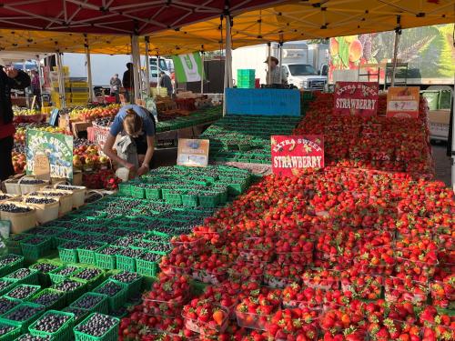 a market with many different types of fruits and vegetables at Hammer Haus II in Waterloo