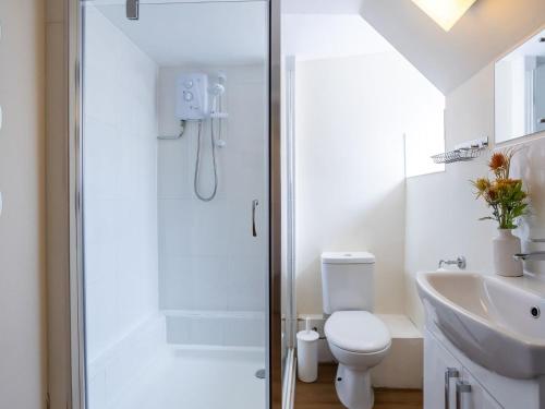 a bathroom with a shower and a toilet and a sink at The Coach House Apartment in Edwinstowe