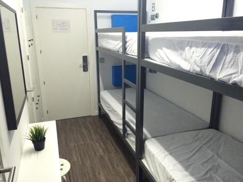 a bunk bed room with two bunk beds and a hallway at Chameleon Youth Hostel Alicante in Alicante