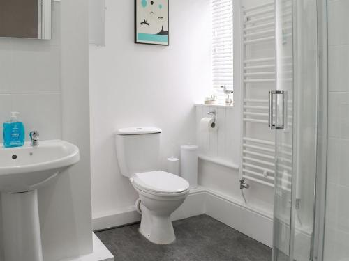 La salle de bains blanche est pourvue d'une douche et de toilettes. dans l'établissement The Old Police House - Uk11623, à Saltburn-by-the-Sea