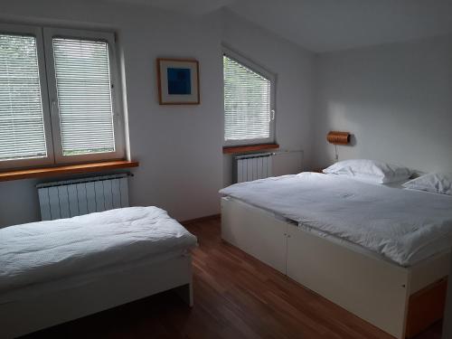 Dos camas en una habitación con dos ventanas. en Apartment Zupan, en Maribor