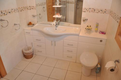 a bathroom with a sink and a toilet at Kipplochan in Dalbeattie