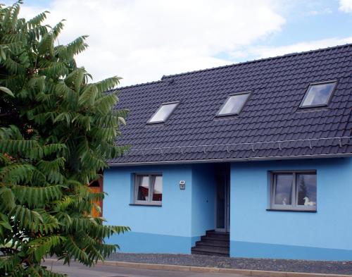 a blue house with a black roof at Ferienwohnung am Park in Erfurt