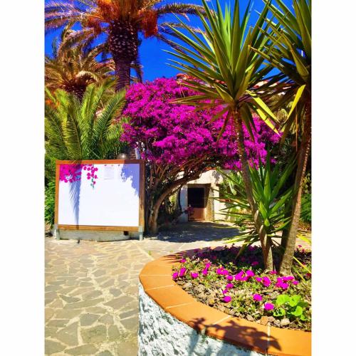 Giardino di Residential Hotel Villaggio Innamorata