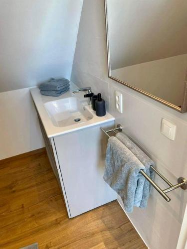 a bathroom with a sink and a mirror at Au cœur de l'Ardenne Bleue - Studio avec piscine in Baelen