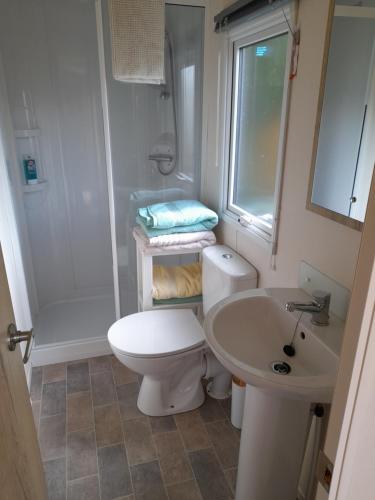 a bathroom with a toilet and a sink and a shower at Camelot Holiday Park, Longtown, Tranquility 21 Coworth in Carlisle