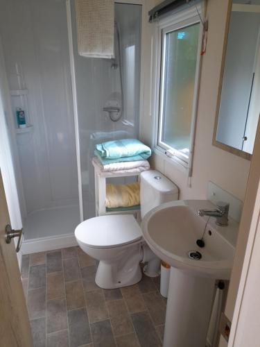 a bathroom with a toilet and a sink and a shower at The retreat in Carlisle