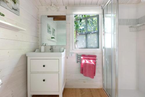 a bathroom with a sink and a glass shower at Cottage Hibiscus among Avocados in La Orotava