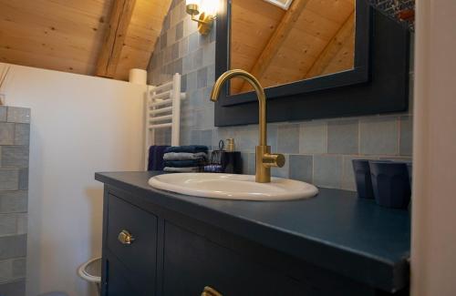 a bathroom counter with a sink and a mirror at Erve Nijkamp in Tubbergen