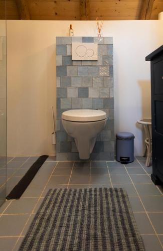 a bathroom with a toilet and a tile wall at Erve Nijkamp in Tubbergen