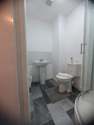 a bathroom with a toilet and a sink at Blackwood Residence in Accrington
