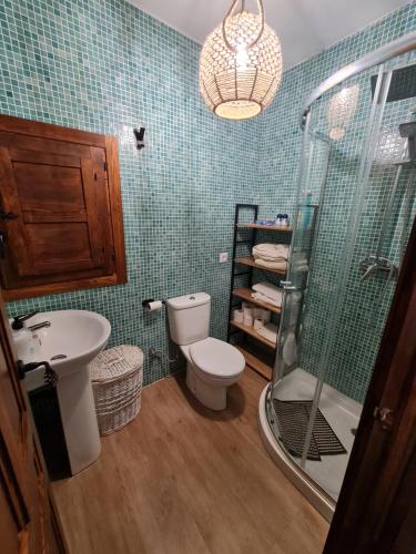 ein Bad mit einem WC, einem Waschbecken und einer Dusche in der Unterkunft La Casa de Madera in La Puebla de los Infantes