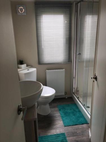 a bathroom with a toilet and a sink and a shower at AMETHYST 25 in Whitstable